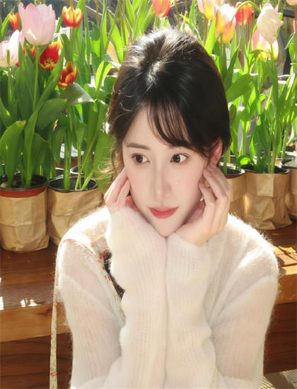 深入探讨：《跟着爸爸去露营》的历史地位与时代意义——带你了解不为人知的细节